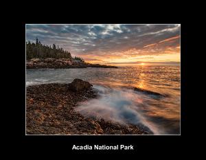 Acadia National Park Wildlife & Landscapes