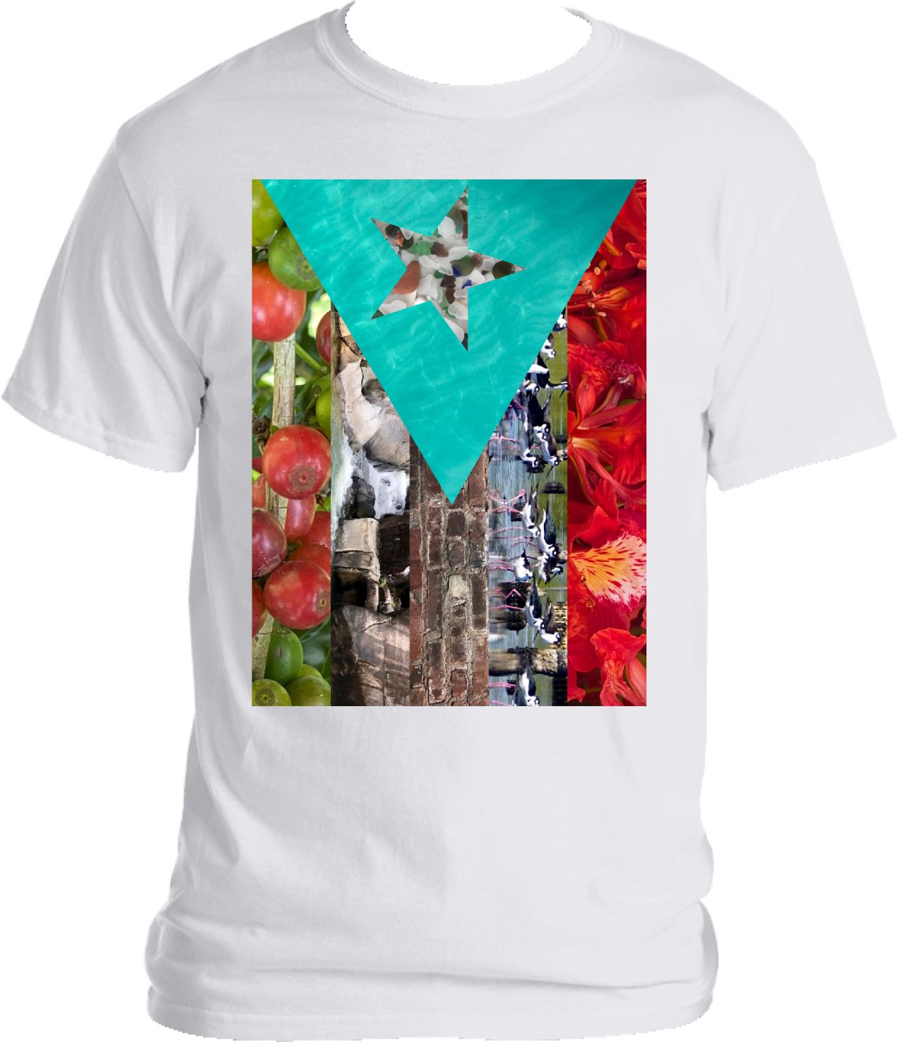 Puerto Rico Flag Photo Shirt