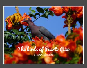 The birds of Puerto Rico 2025