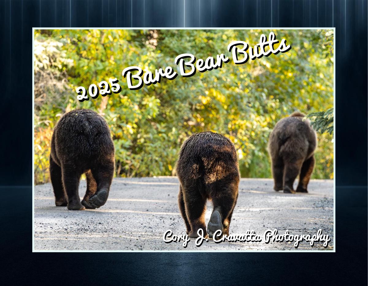 2025 Bare Bear Butts Calendar