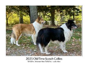 2025 Old-Time Scotch Collie Calendar