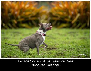 Hstc 2022 Pet Calendar | Create Photo Calendars