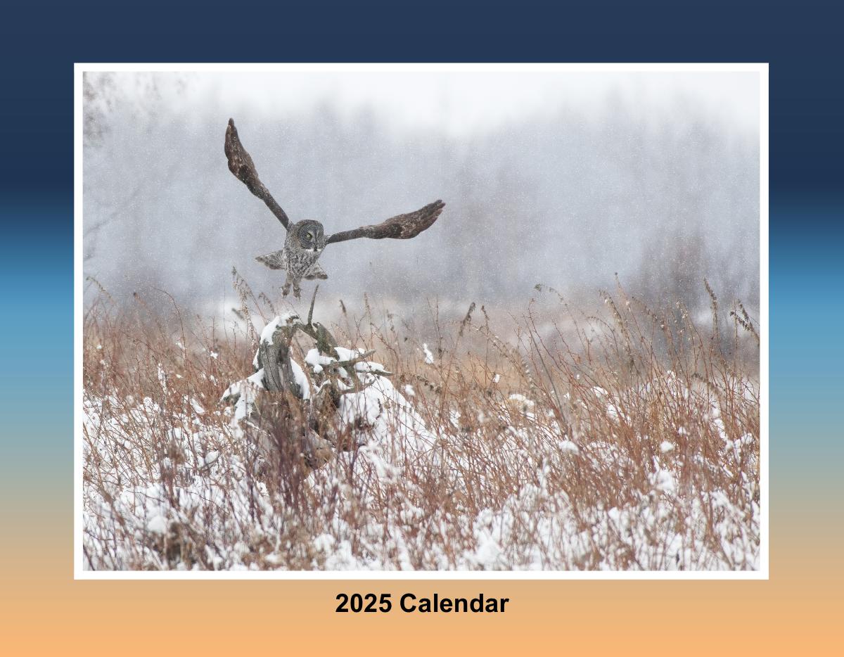 2025 Calendar