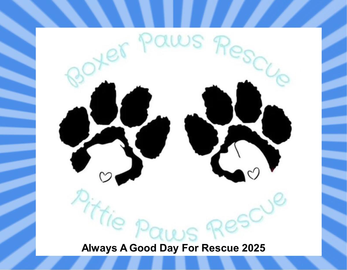 Boxer Paws & Pittie Paws Rescues 2025 Calendar