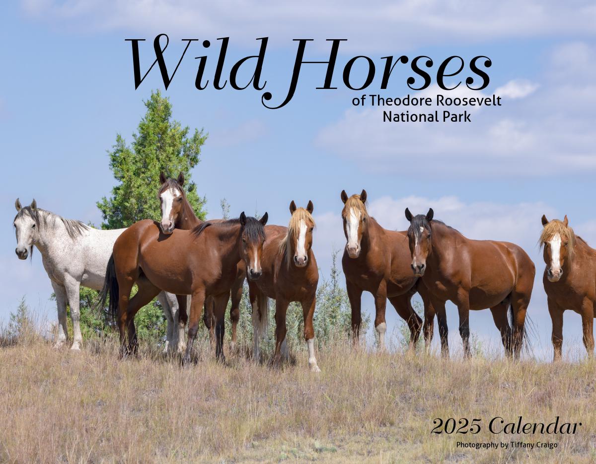 2025 Wild Horse Calendar