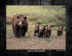 2025 Wildlife