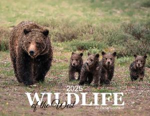 2025 Wildlife