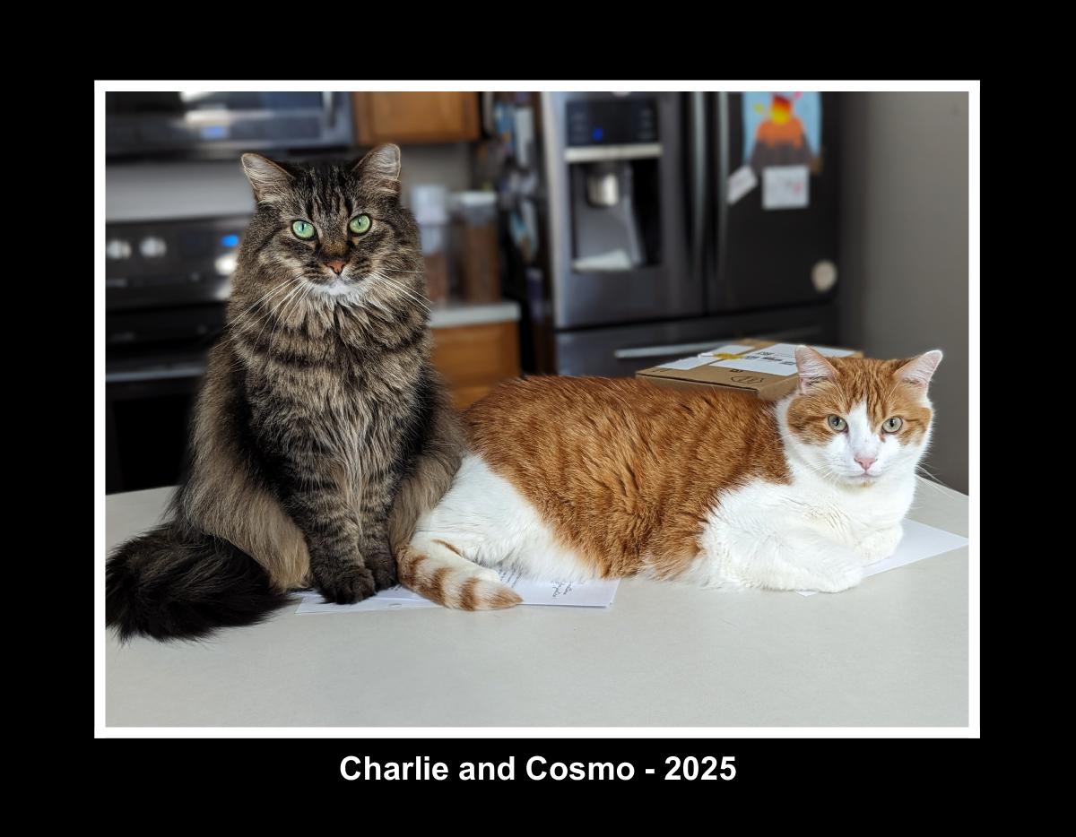 Charlie and Cosmo - 2025 Calendar