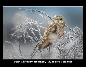 Dean Cerrati Photography - 2025 Bird Calendar