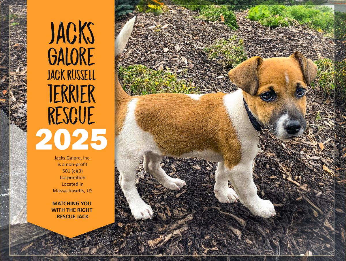 2025 Jacks Galore Fundraiser Calendar