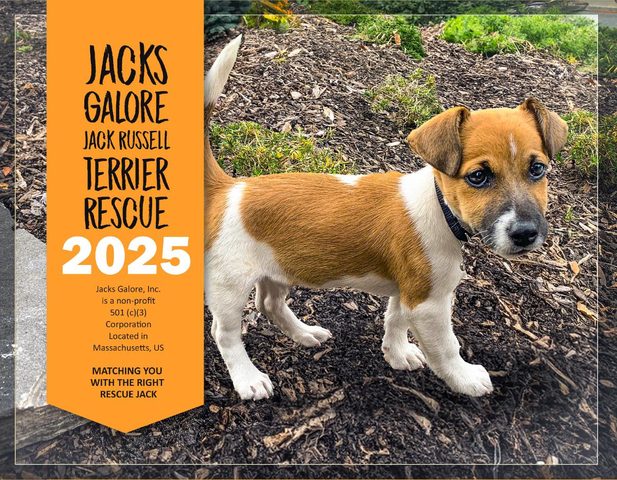 2025 Jacks Galore Fundraiser Calendar