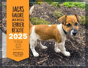 2025 Jacks Galore Fundraiser Calendar