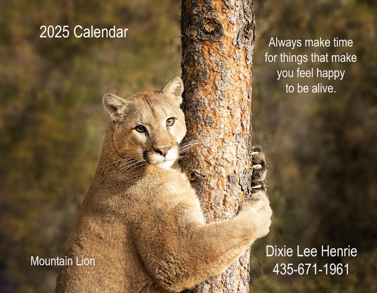 2025 Wildlife Calendar