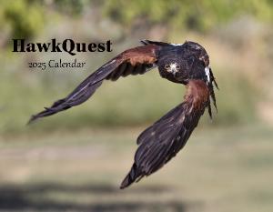 HawkQuest 2025 Wall Calendar