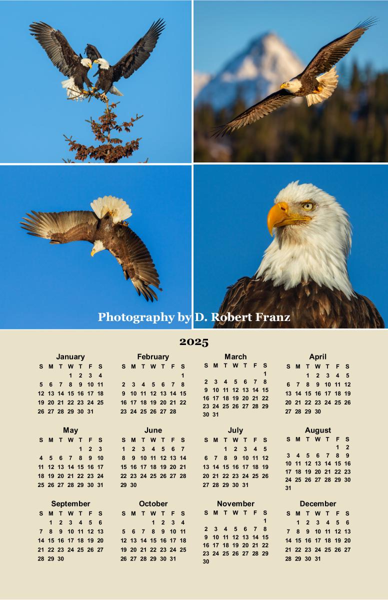 Bald Eagle Poster Calendar