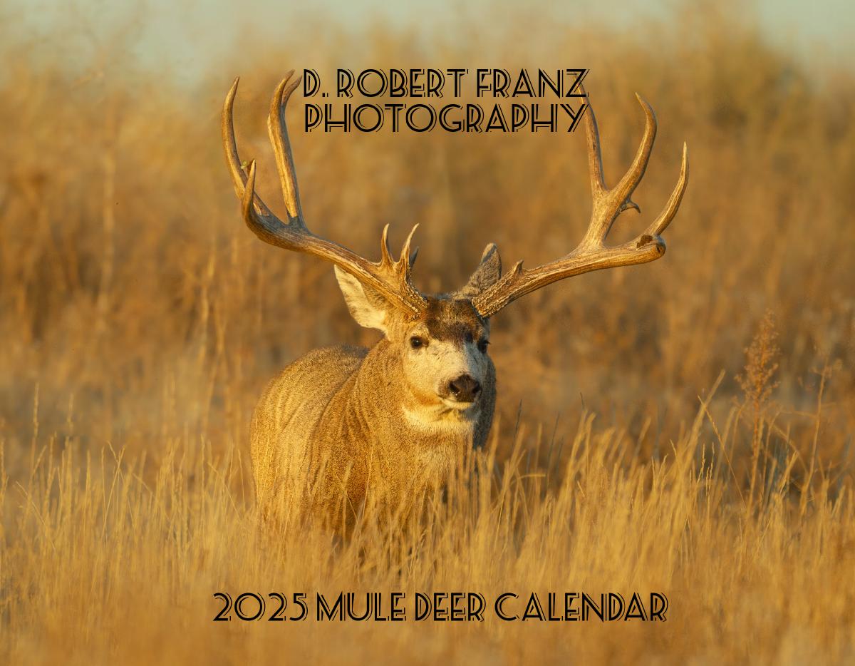 Mule Deer Wall Calendar