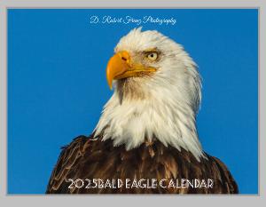 Bald Eagle Wall Calendar