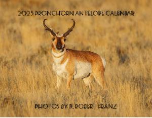 Pronghorn Antelope Wall Calendar