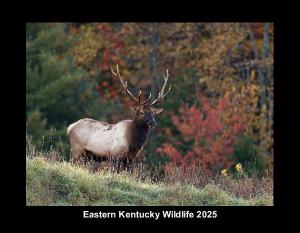 Eastern Kentucky Wildlife 2025