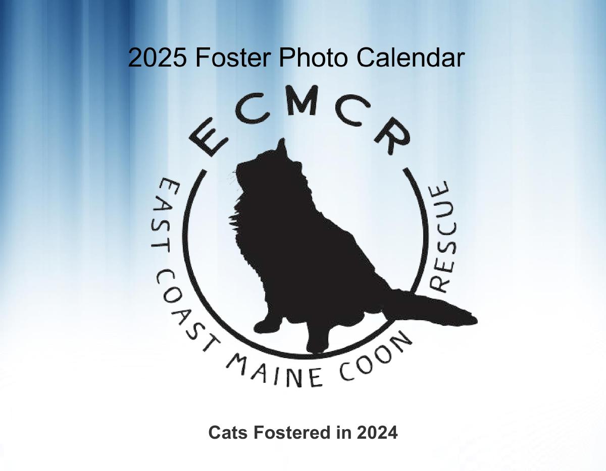 2025 Foster Calendar