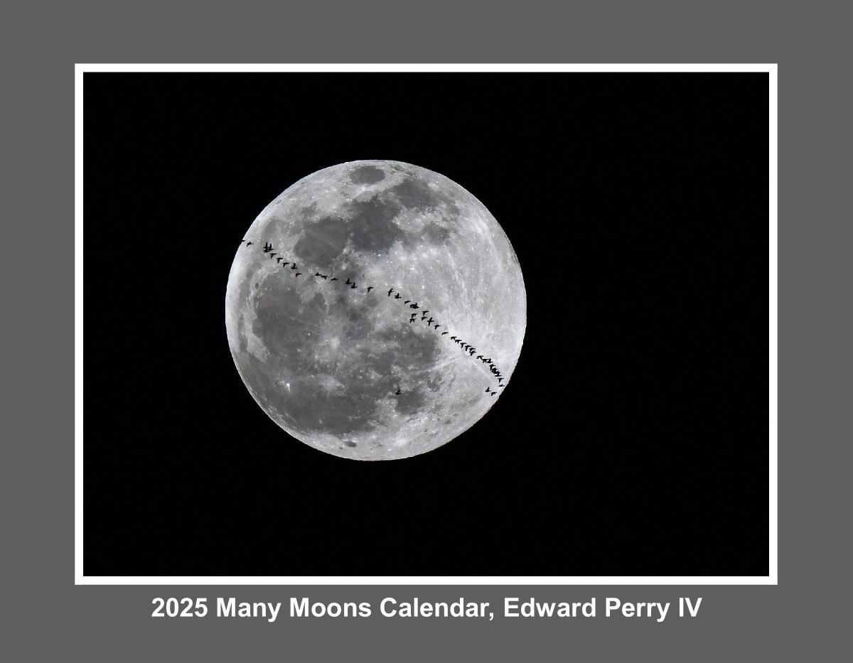 2025 Many Moons, Edward Perry IV