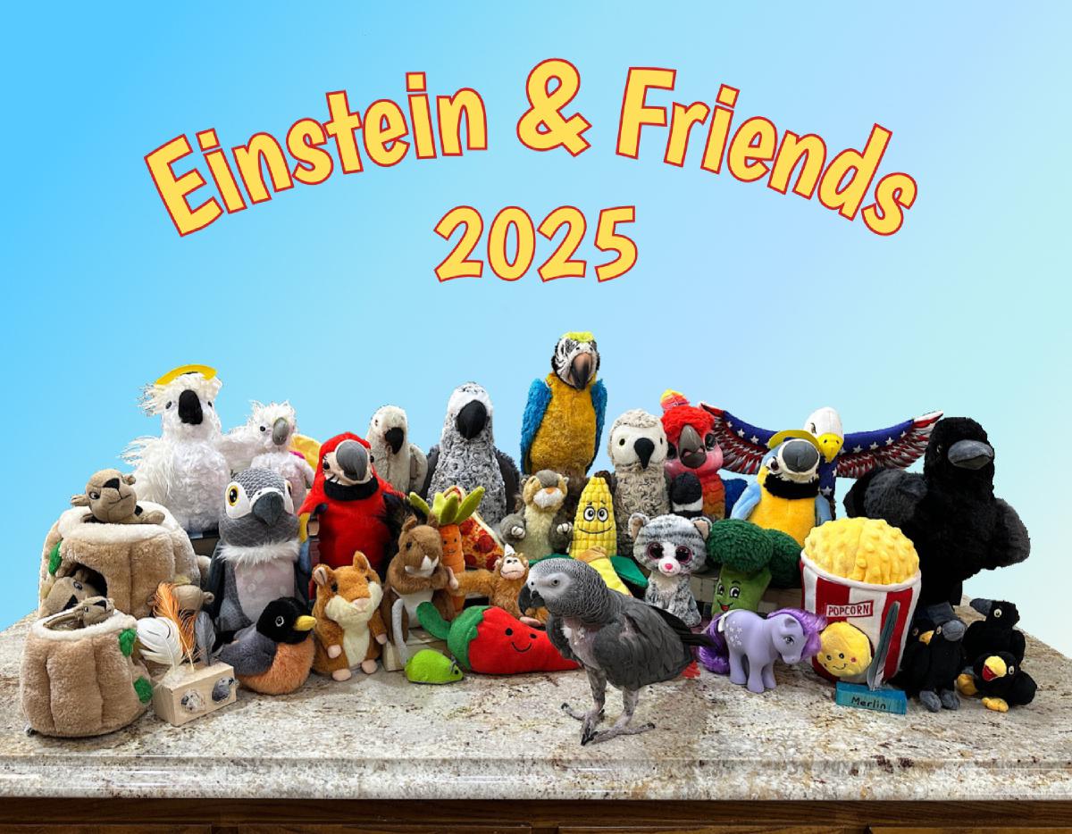 2025 Einstein & Friends Wall Calendar