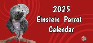 Einstein Parrot 2025 Desk Calendar