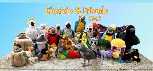 2025 Einstein & Friends Desk Calendar