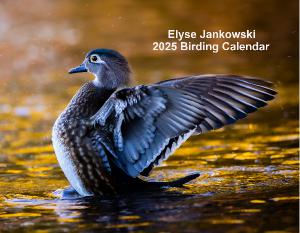 Elyse Jankowski 2025 Birding Calendar