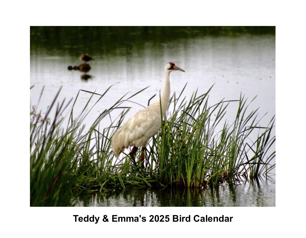 Teddy & Emma's 2025 Bird Calendar