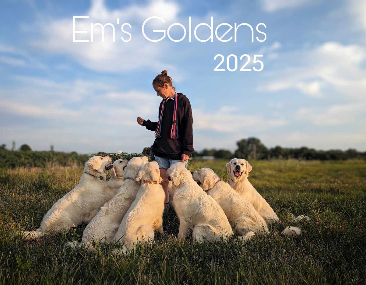 Em's Goldens 2025 Calendar