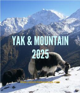 2025 Yak and Mountain CD Calendar