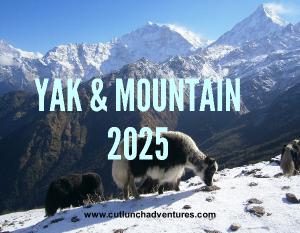 2025 Yak and Mountain Wall Calendar 8.5x11