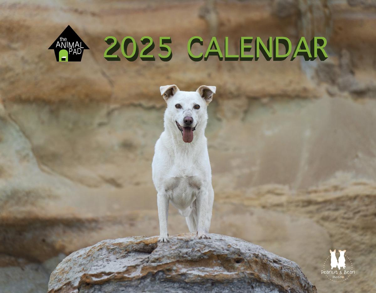 The Animal Pad 2025 Calendar