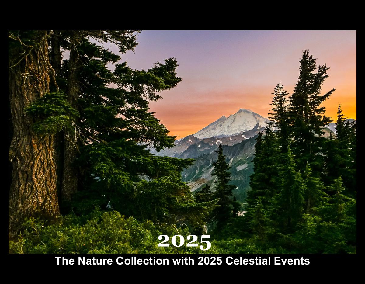 2025 Calendar: Last Year's Popular Listing