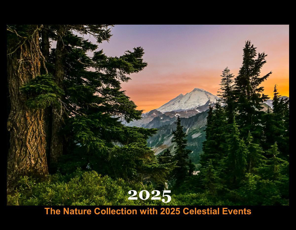 2025 Calendar: Last Year's Popular Listing