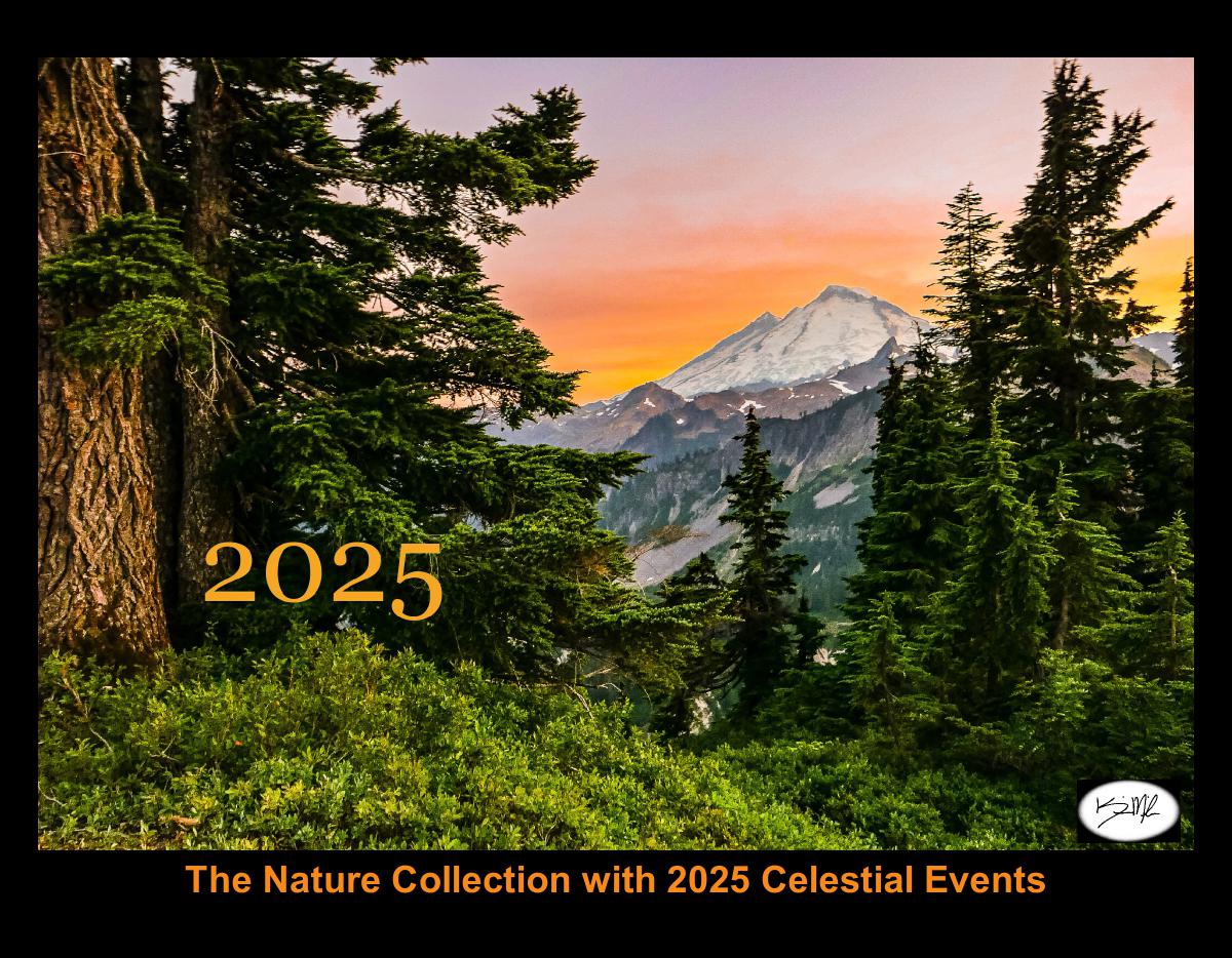 2025 Calendar: Last Year's Popular Listing