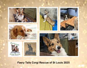 Faery Tails Corgi Rescue of St Louis 2025 Calendar