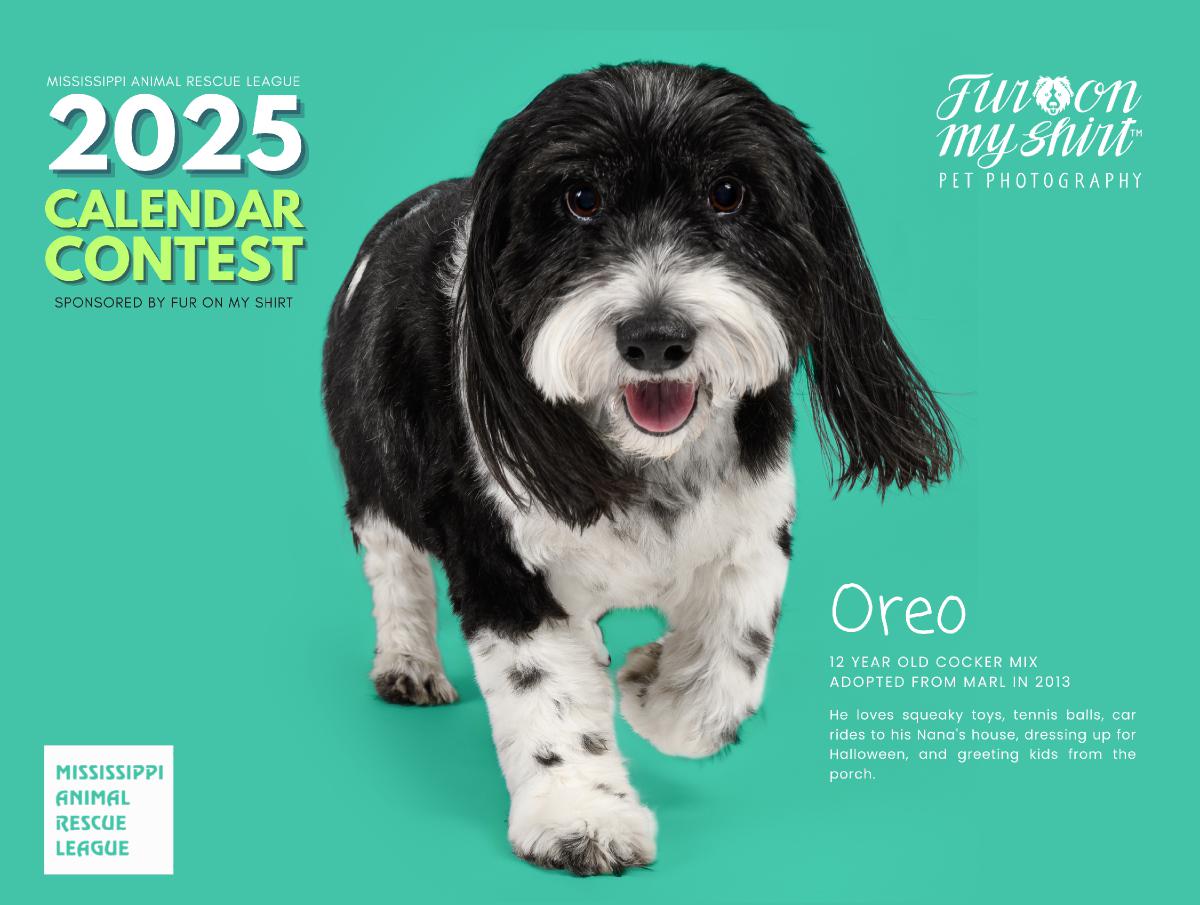 Mississippi Animal Rescue League 2025 Calendar