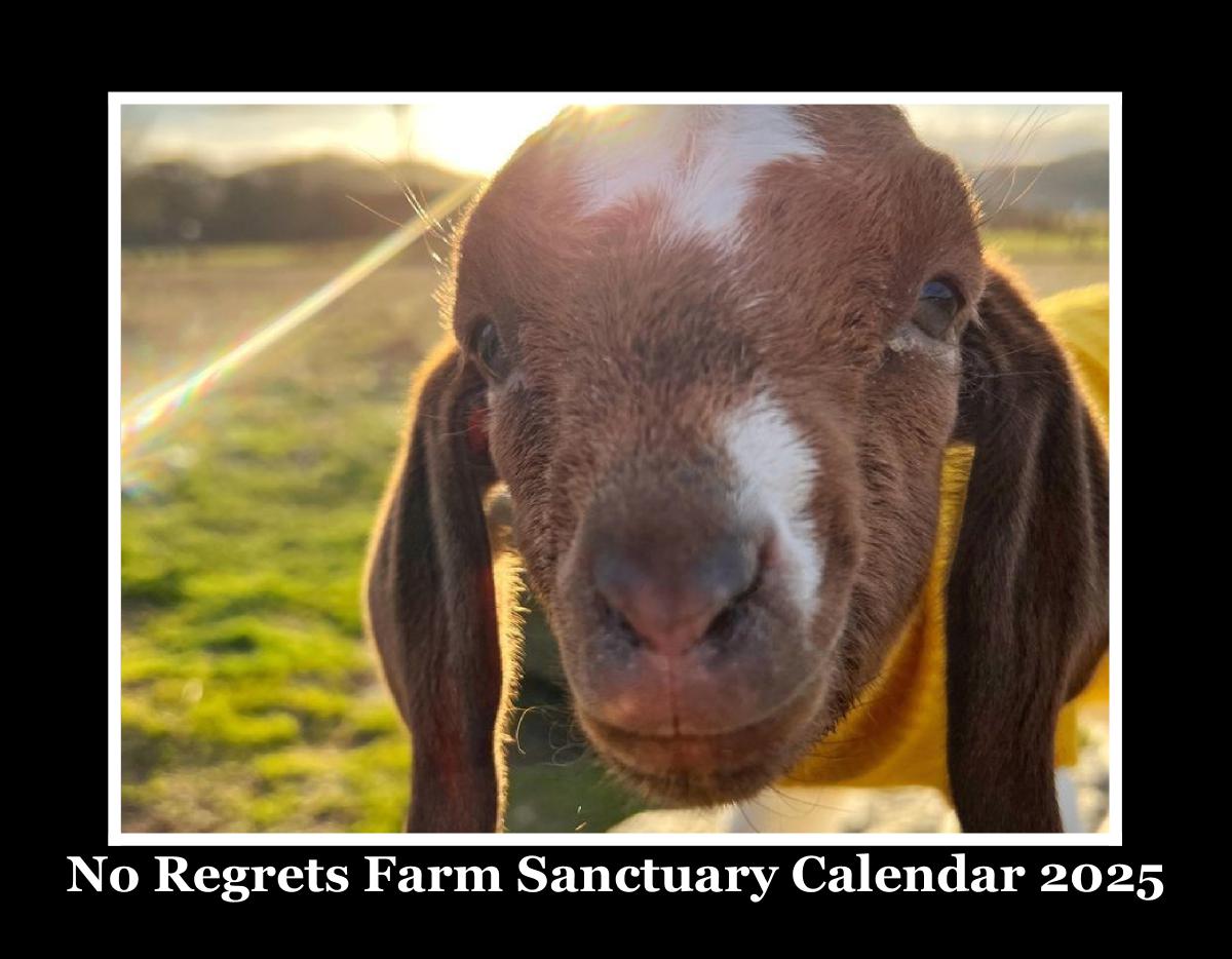 No Regrets Farm Sanctuary Calendar 2025