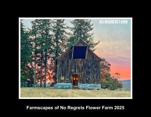 Flowers & Farmscapes at No Regrets Farm 2025