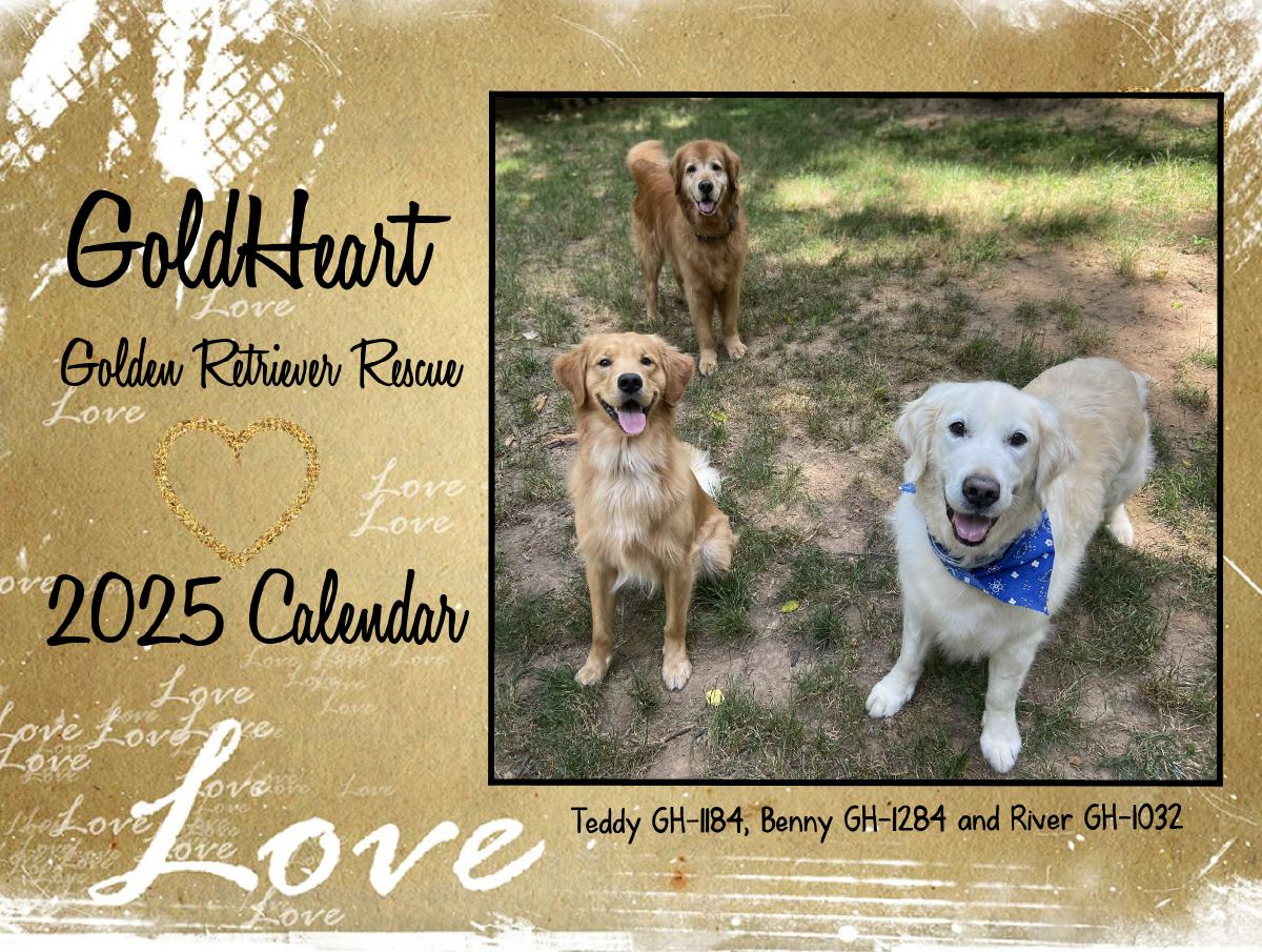 GoldHeart Golden Retriever Rescue 2025 Calendar