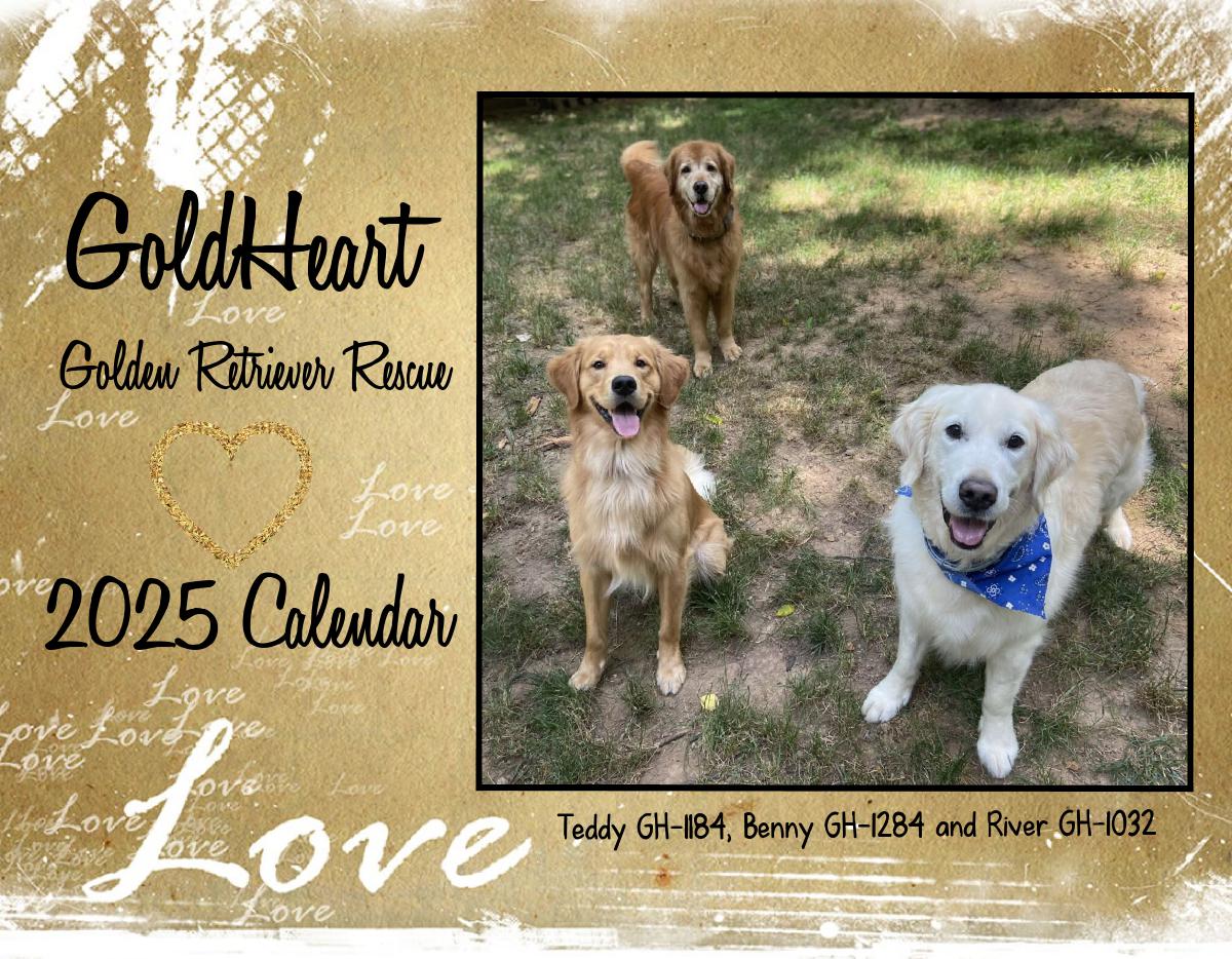 GoldHeart Golden Retriever Rescue 2025 Calendar