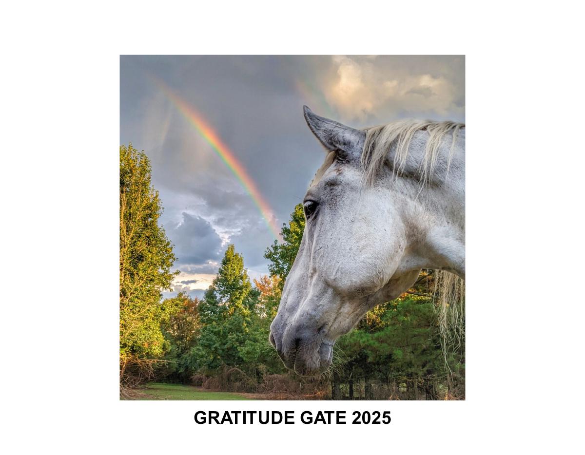 Gratitude Gate 2025