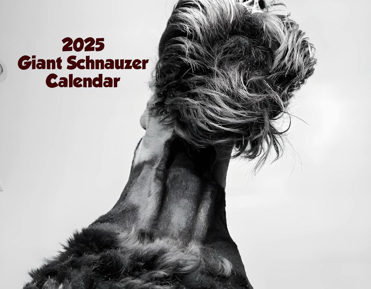 2025 Giant Schnauzer Calendar