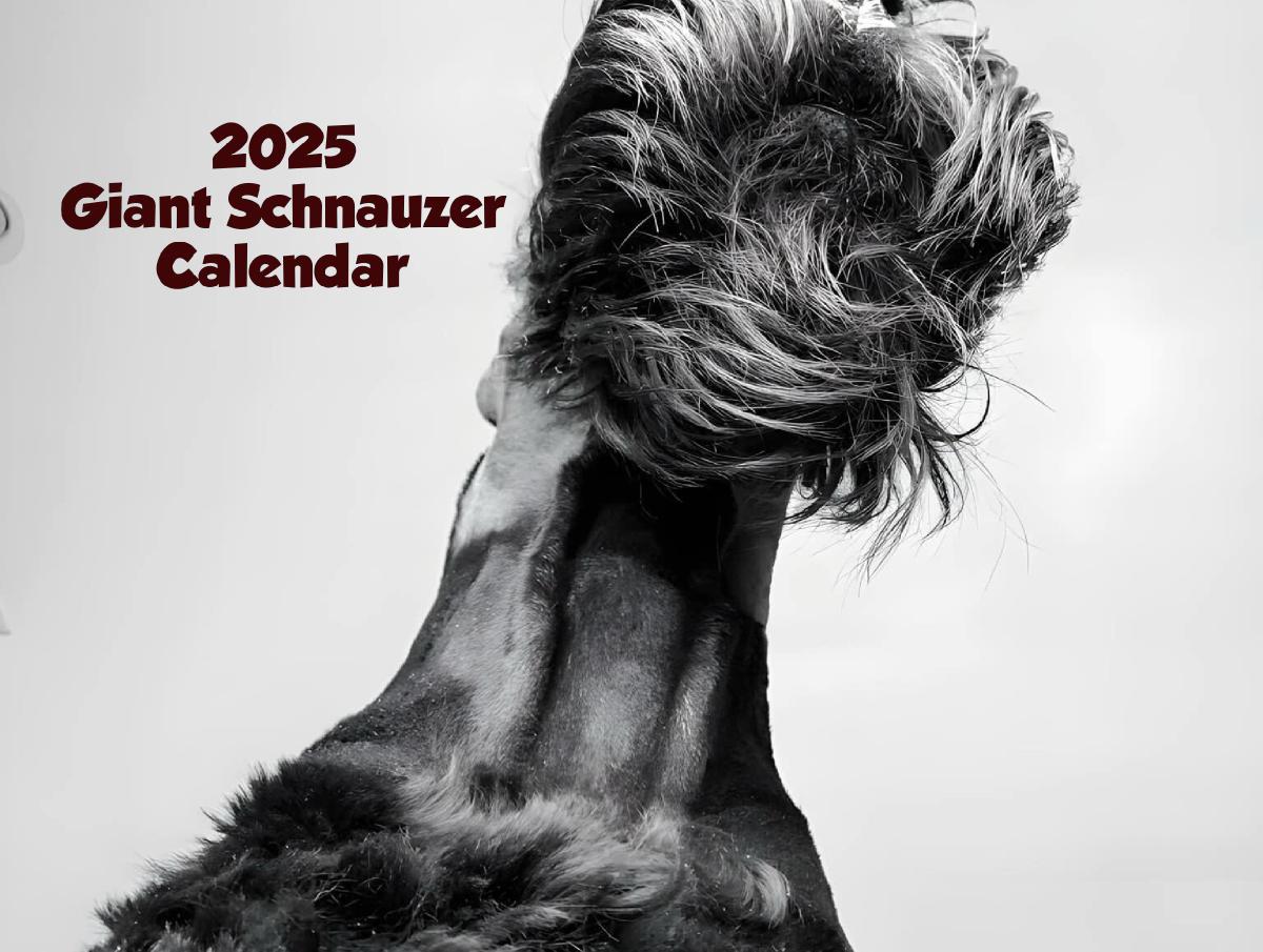 2025 Giant Schnauzer Calendar