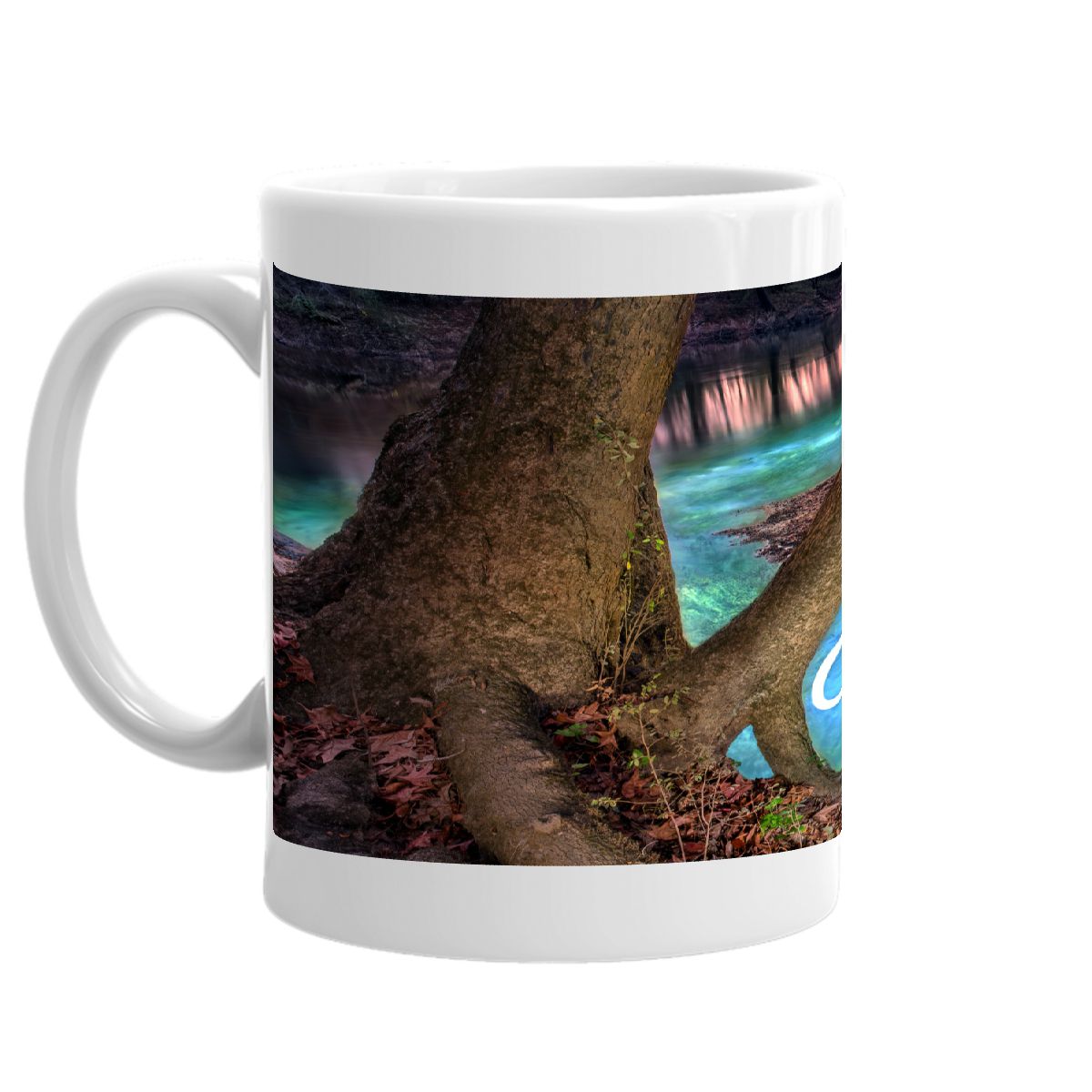 Arnold Springs Coffee Mug