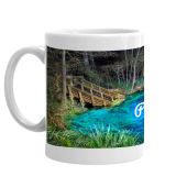 Peacock I Spring Coffee Mug