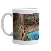 Telford Spring Coffee Mug