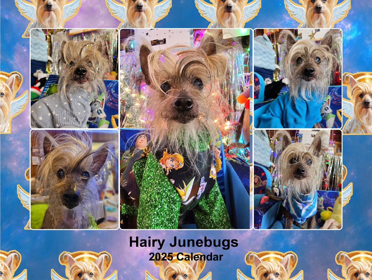 Hairy Junebugs 2025 Calendar